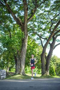 BIB: 
                            <button type="button" onclick="openModal(26546055)" class="btn btn-primary btn-sm float-right btn-popup" data-toggle="modal" data-target=".modal-high-quality">
                        <i class="fas fa-shopping-cart"></i> Add to Cart
                    </button>
                                            <button type="button" onclick="isThisMe(26546055, true)" class="btn btn-success btn-sm float-right btn-popup btn-isme hidden" data-toggle="tooltip" data-placement="bottom" title="นี่คือรูปของคุณใช่ไหม คลิกที่นี่เพื่อเอาเข้าอัลบั้ม">
                        <i class="fas fa-plus"></i> Add to album
                    </button>
                    <button type="button" onclick="isThisMe(26546055, false)" class="btn btn-warning btn-sm float-right btn-popup btn-isnotme hidden">
                        <i class="fas fa-ban"></i> Remove from album
                    </button>